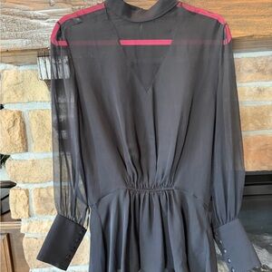 Sally LaPointe Silk Black Sheer Blouse